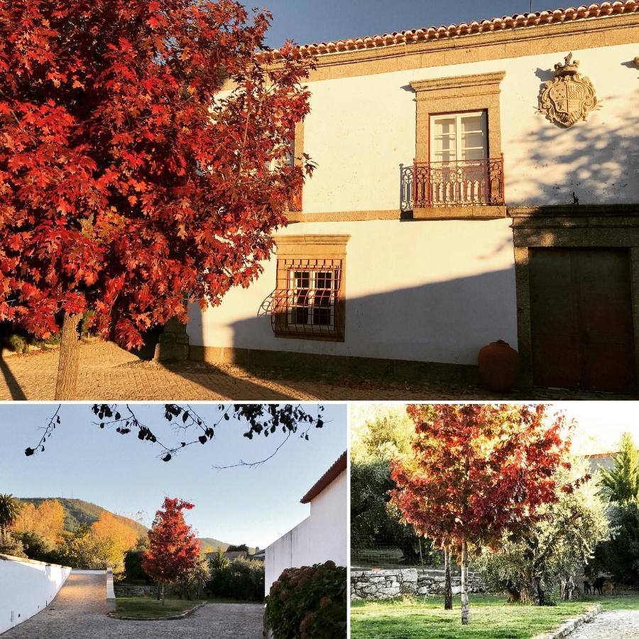 Quinta Da Porta - Solar De Vale De Prazeres Villa Exteriör bild