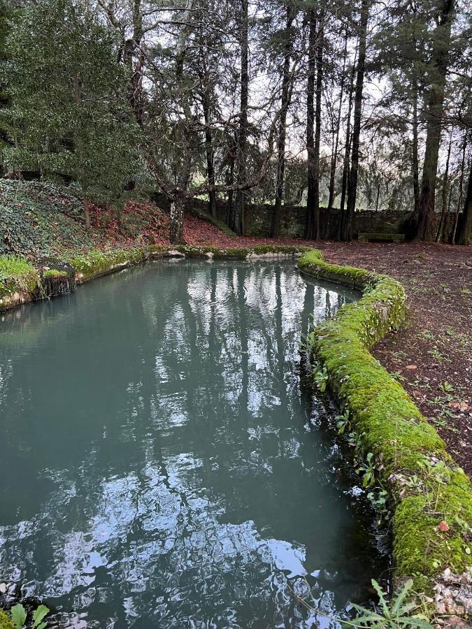 Quinta Da Porta - Solar De Vale De Prazeres Villa Exteriör bild