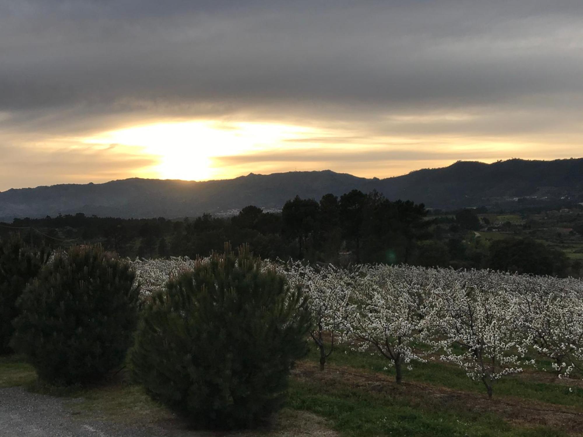 Quinta Da Porta - Solar De Vale De Prazeres Villa Exteriör bild